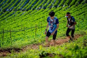 BIB: 
                            <button type="button" onclick="openModal(19162484)" class="btn btn-primary btn-sm float-right btn-popup" data-toggle="modal" data-target=".modal-high-quality">
                        <i class="fas fa-shopping-cart"></i> Add to Cart
                    </button>
                                            <button type="button" onclick="isThisMe(19162484, true)" class="btn btn-success btn-sm float-right btn-popup btn-isme hidden" data-toggle="tooltip" data-placement="bottom" title="นี่คือรูปของคุณใช่ไหม คลิกที่นี่เพื่อเอาเข้าอัลบั้ม">
                        <i class="fas fa-plus"></i> Add to album
                    </button>
                    <button type="button" onclick="isThisMe(19162484, false)" class="btn btn-warning btn-sm float-right btn-popup btn-isnotme hidden">
                        <i class="fas fa-ban"></i> Remove from album
                    </button>